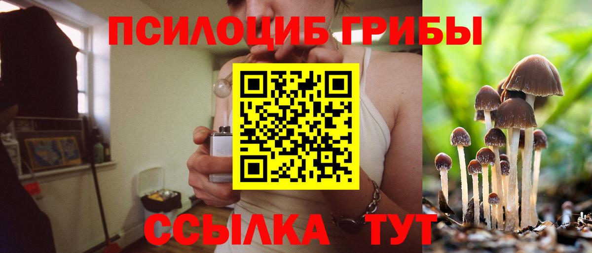 цена наркотик  Галлюциногенные грибы прущие грибы  Мценск  Вход с VPN  Галлюциногенные грибы MAGIC MUSHROOMS 